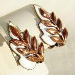 Vintage 50s Mastisse Renoir..